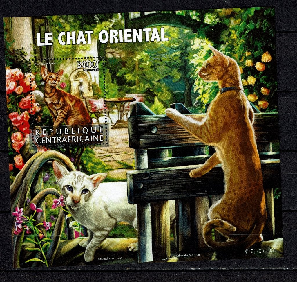 C.AFRIKA 2015 PF BLOK KATTEN DOLFIJNEN ZOOGDIEREN CATS 2, Ophalen of Verzenden, Postfris, Dier of Natuur