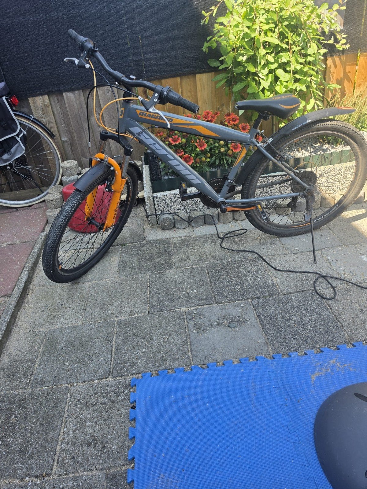 Opknapfietsen tegen elk aannemelijk bod, Fietsen en Brommers, Fietsen | Dames | Damesfietsen, Ophalen