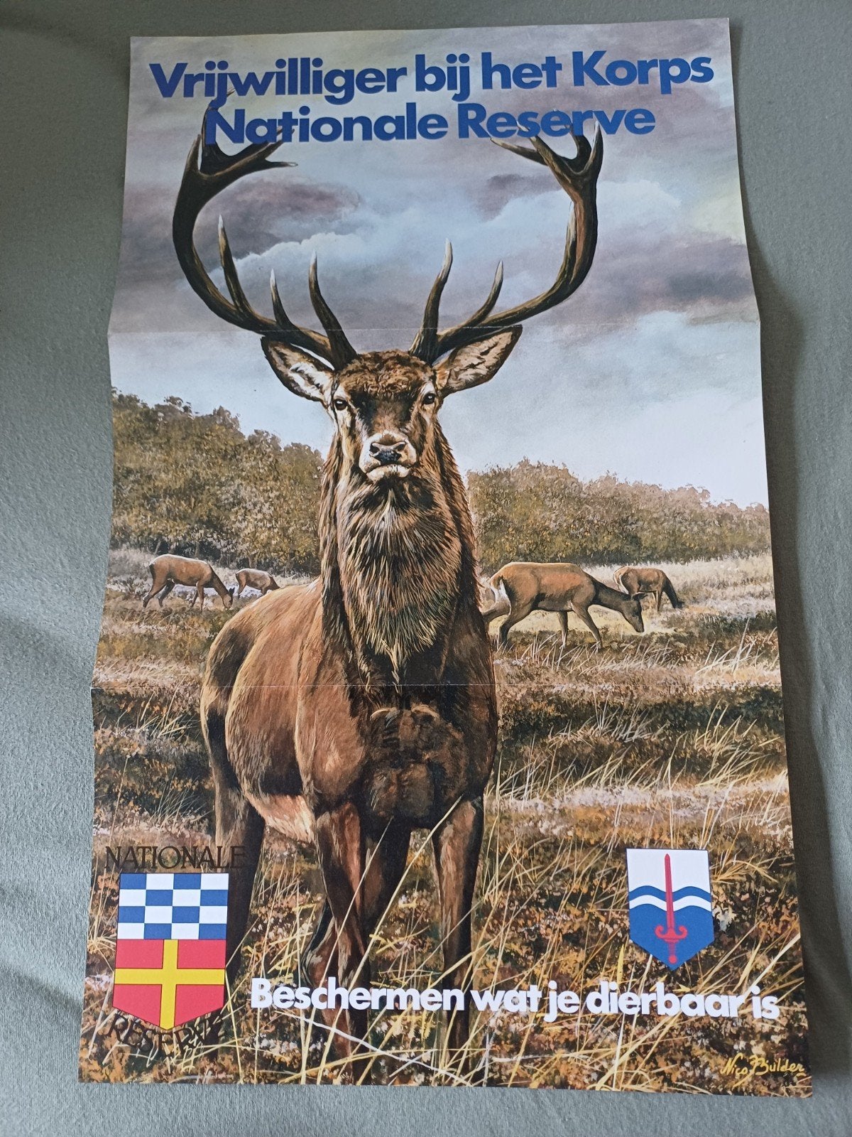 Wervingsposter Korps Nationale Reserve / KNR / NATRES, Ophalen of Verzenden, Landmacht, Nederland, Foto of Poster