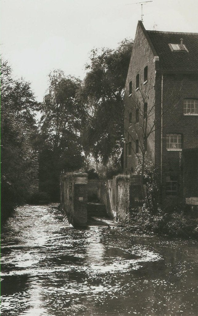 Nekum bij Maastricht molen 1979, Ophalen of Verzenden, 1960 tot 1980, Ongelopen, Limburg