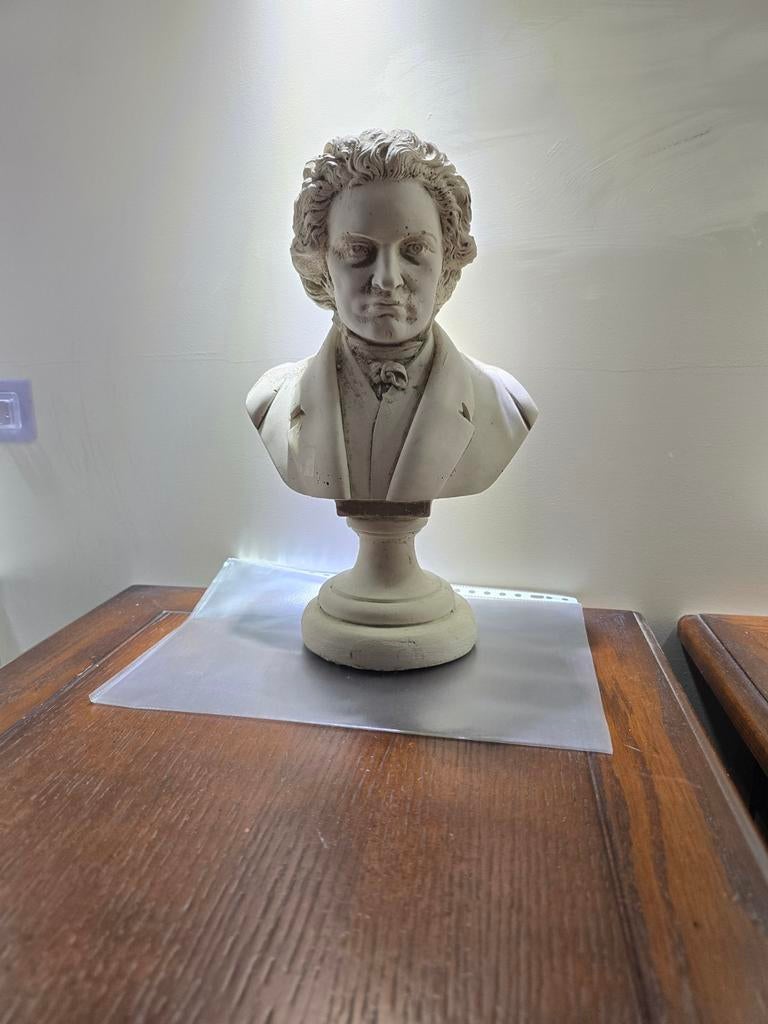Buste van Beethoven, Antiek en Kunst, Ophalen of Verzenden, Steen of Keramiek, Buste, 20 - 50 cm