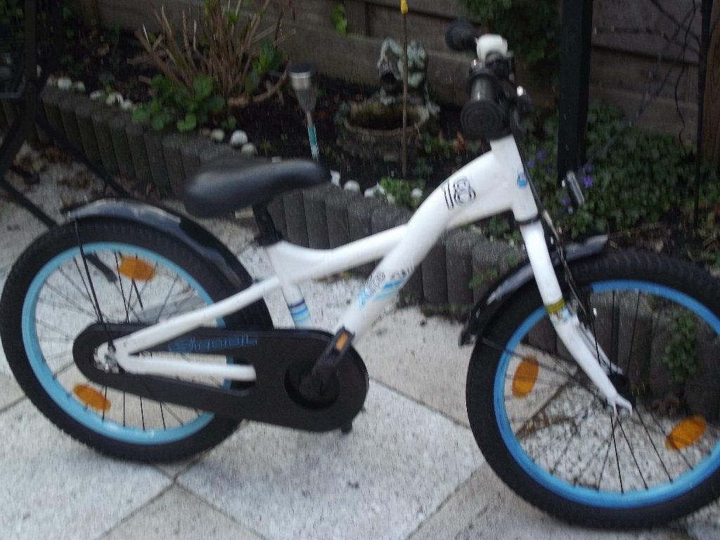 meisjes of jongensfiets 20 inch, Ophalen, Gebruikt, 20 inch of meer