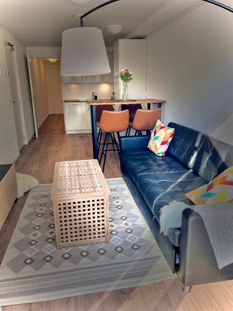 Apartment te huur  4 maanden dicht bij Leiden, Direct bij eigenaar, 2 kamers, 50 m², Appartement