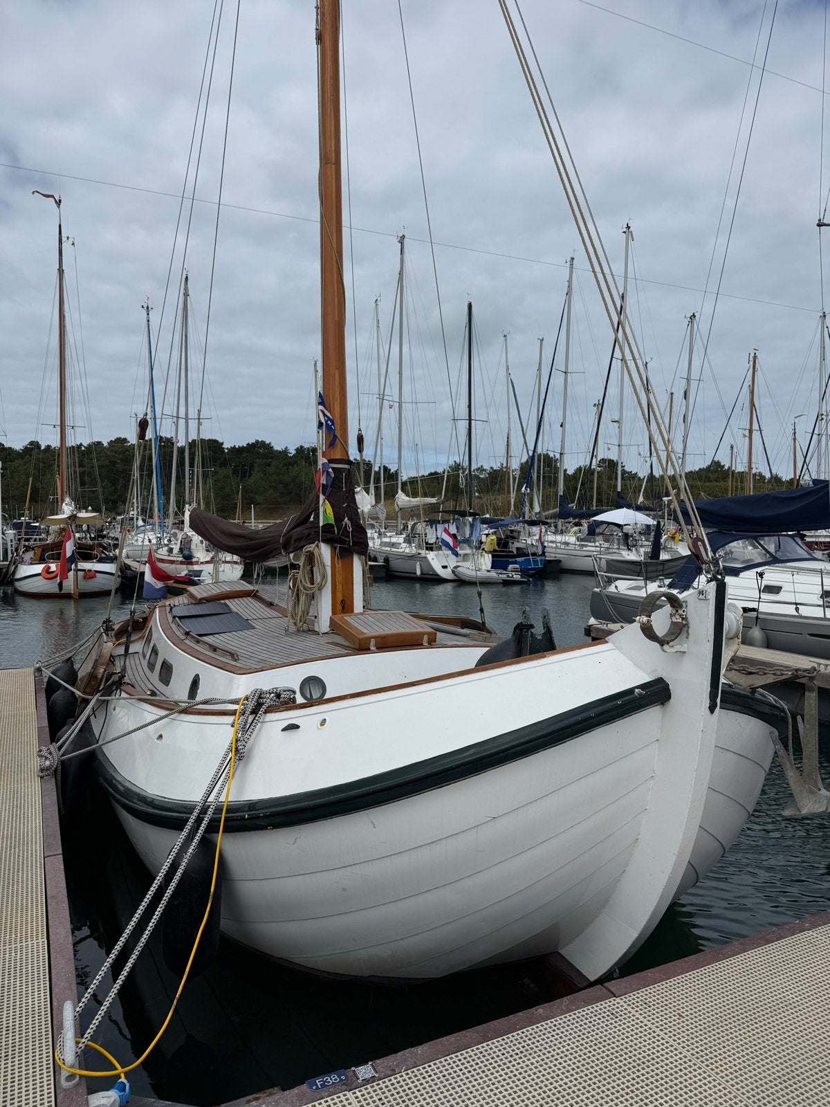 Lemsteraak 10.10m, Blomaak, Ophalen, 10 m, Staal, Binnenboordmotor