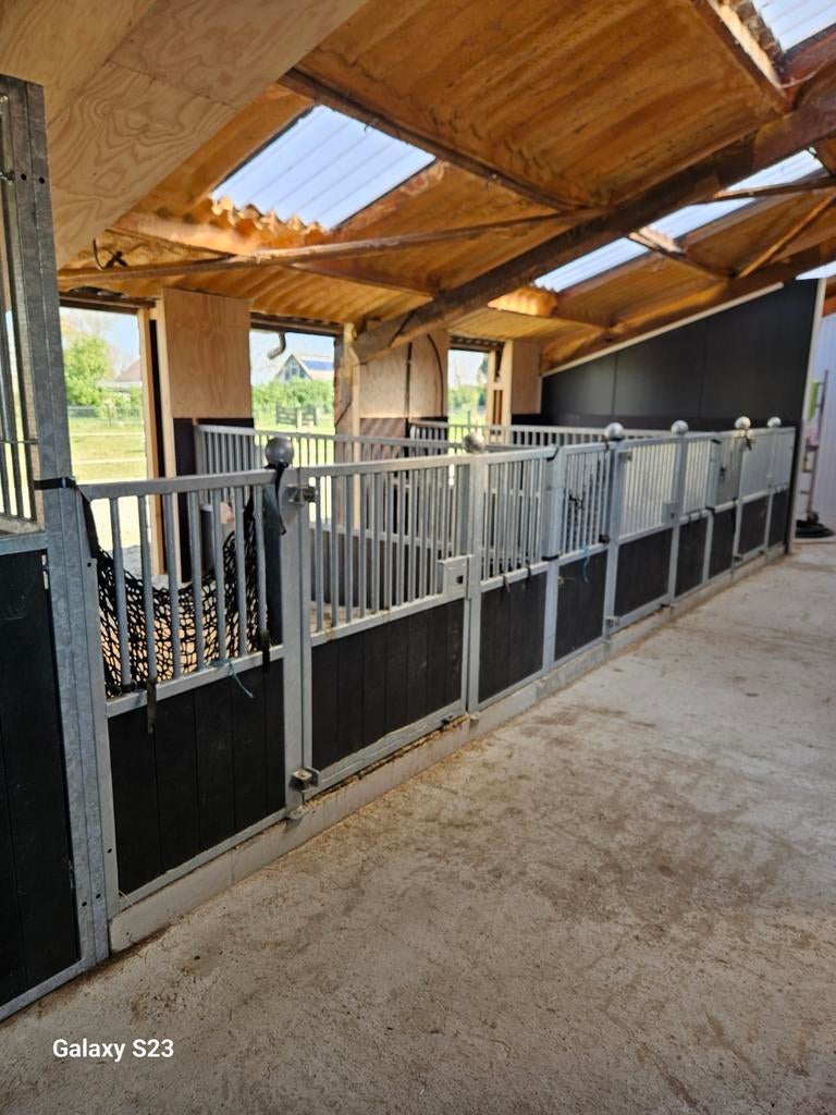PONY STALLEN / PAARDENBOXEN/ STALINRICHTING/ STALRAMEN/ ENZ, Dieren en Toebehoren