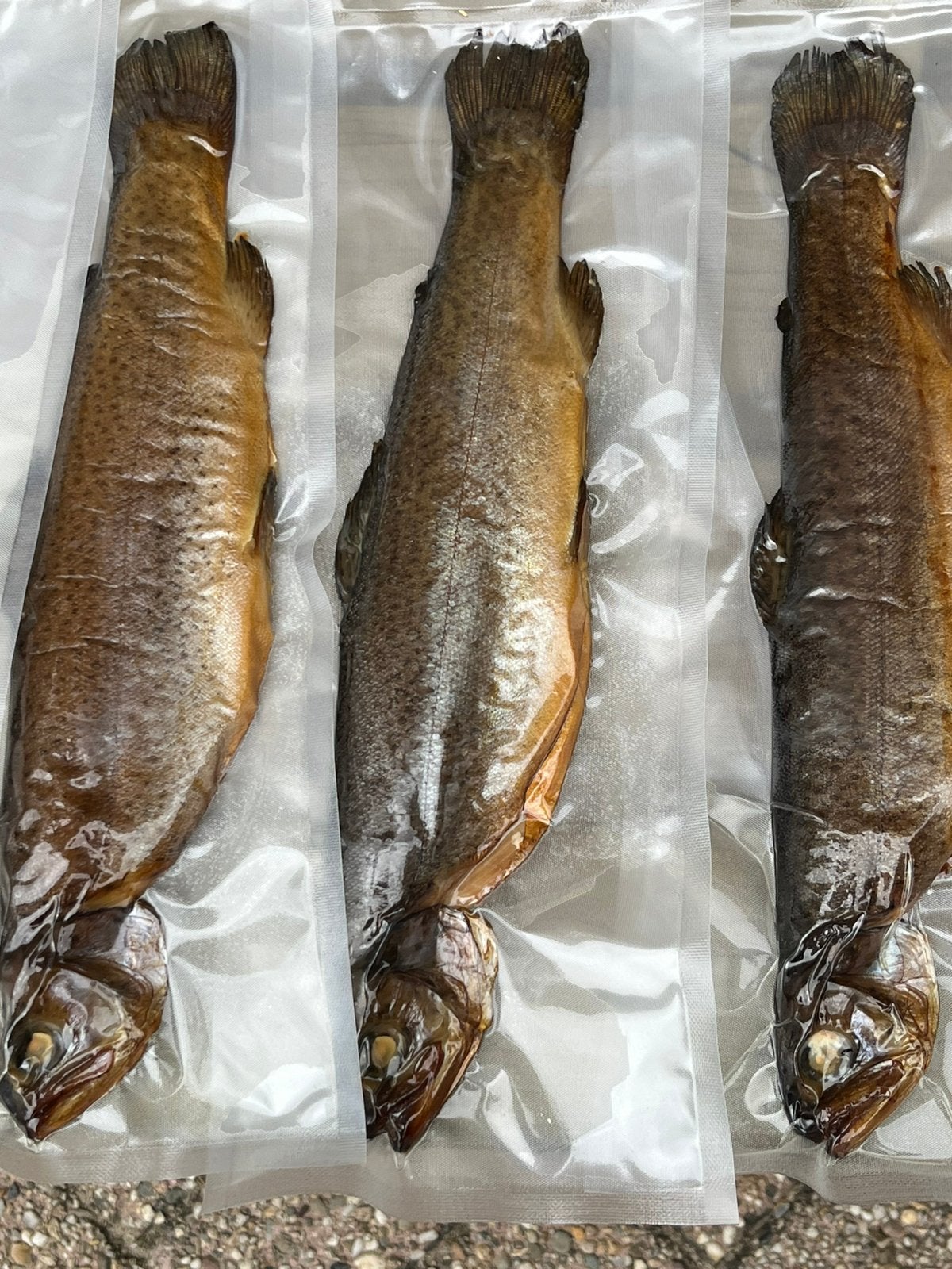 Te Koop, vers gerookte Forel, Ophalen of Verzenden