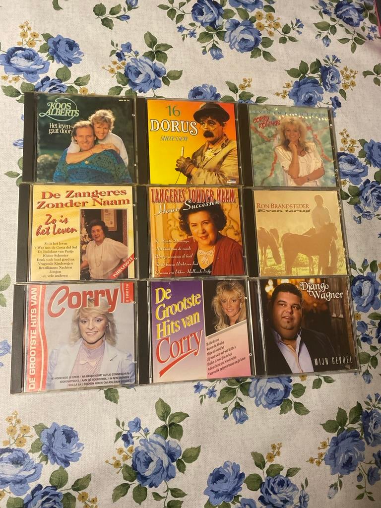 Nederlandstalige CD's - Diverse artiesten - Uitstekende staa, Ophalen of Verzenden, Zo goed als nieuw, Levenslied of Smartlap