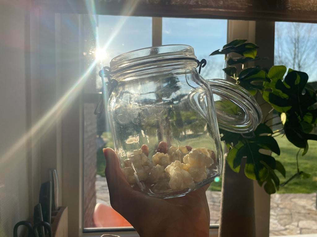Kefir plantje/korrels, Diversen, Levensmiddelen, Ophalen