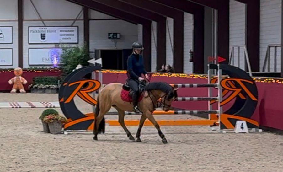 5 jarige alround valk  pony, Ophalen of Verzenden