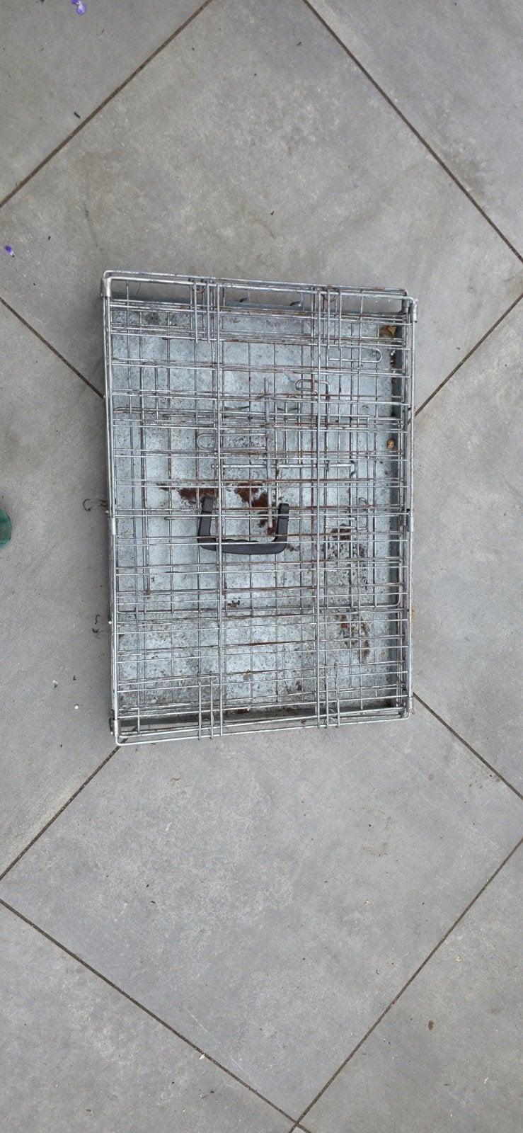 Kennel, Ophalen