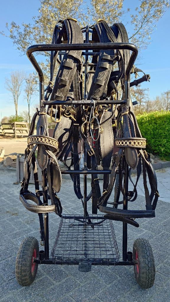 Nieuw! Compleet 2-span lederen tuig met messing beslag, Dieren en Toebehoren, Ophalen, Nieuw, Overige soorten