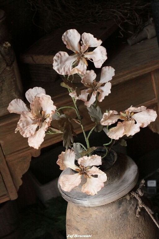 Papaver brown klaproos, zijdebloem, bloem, Huis en Inrichting, Www.jufbrocante.nl, Www.jufbrocante.nl, Nieuw, Ophalen of Verzenden