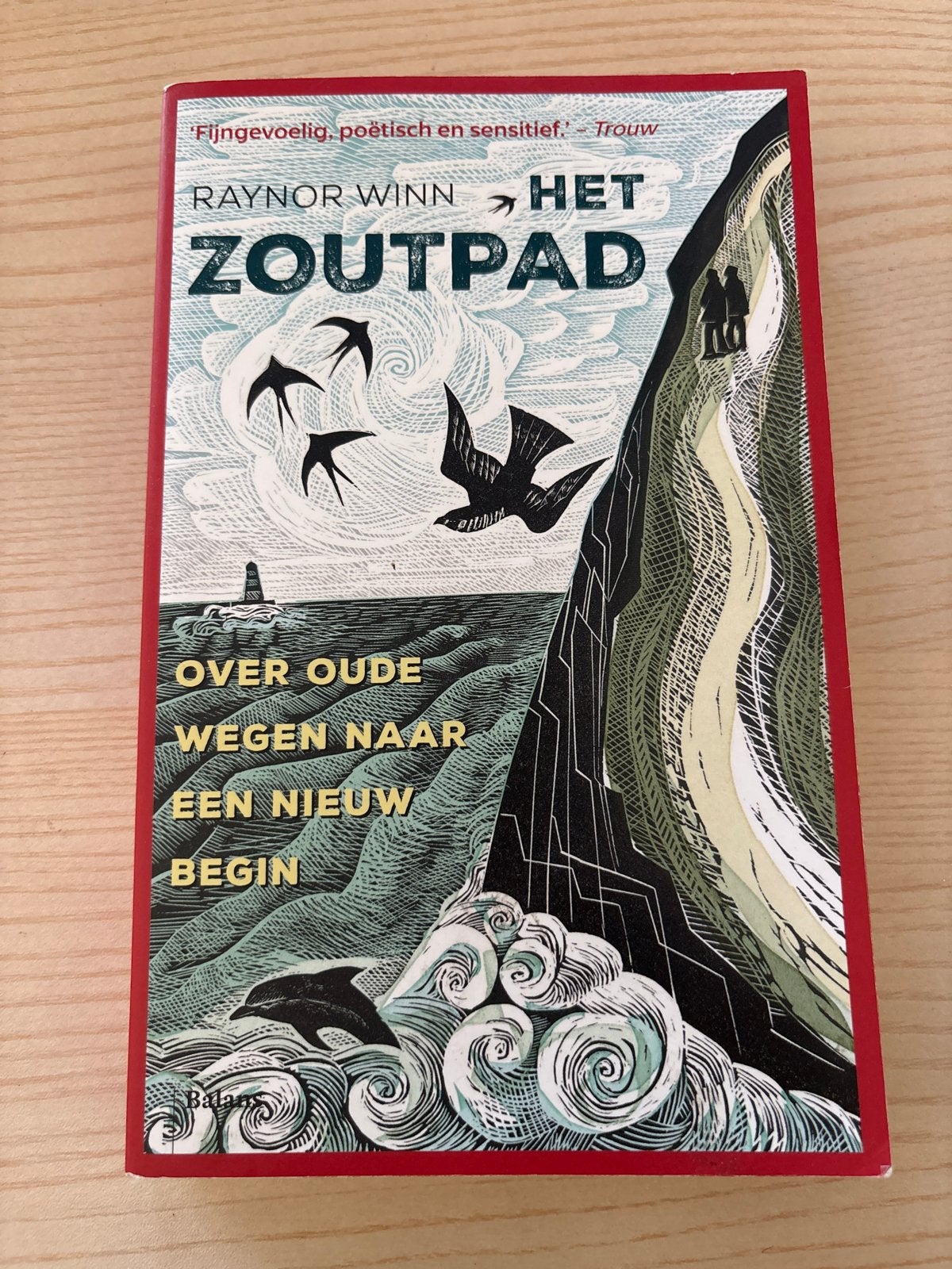 Het Zoutpad - Raynor Winn, Ophalen of Verzenden, Zo goed als nieuw, Europa overig