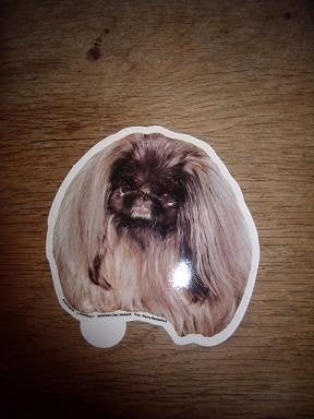 Hondenras sticker Pekingnese shaped 9 x 10 cm, Ophalen of Verzenden, Zo goed als nieuw, Bedrijf of Vereniging