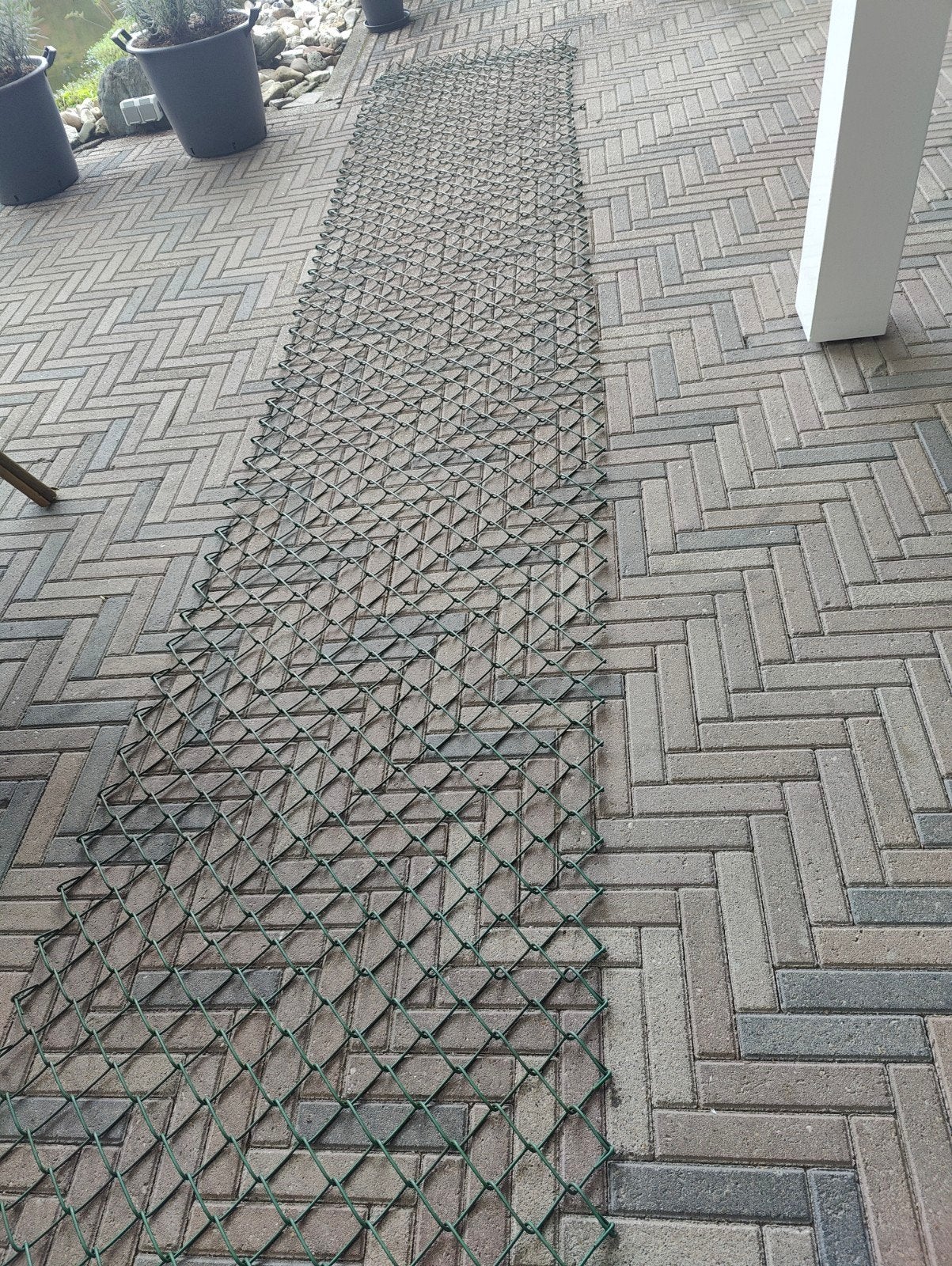 Gaas geplastificeerd voor tuin of afzetting 2 rollen, Tuin en Terras, Ophalen, Nieuw, 10 tot 20 meter, Gaas