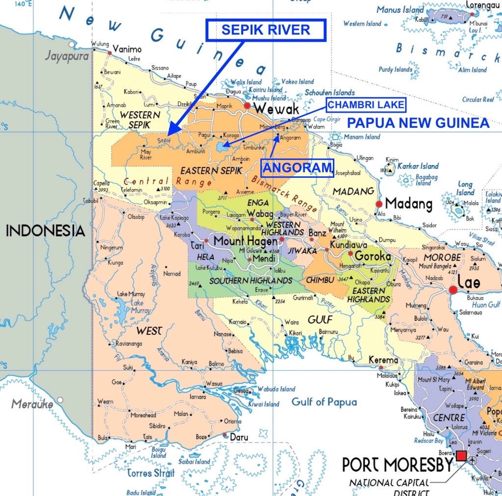 Roeispaan “Bodi” Sepik Papua Nieuw-Guinea (170815-01), Hout, Verzenden, Overige typen, Papoea-Nieuw-Guinea