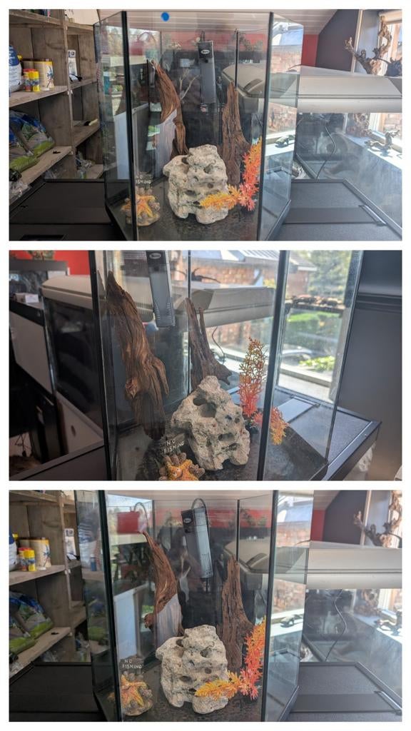 🐠6 kant aquarium 30 L te koop, glazen bak kopen, Ophalen, Gebruikt