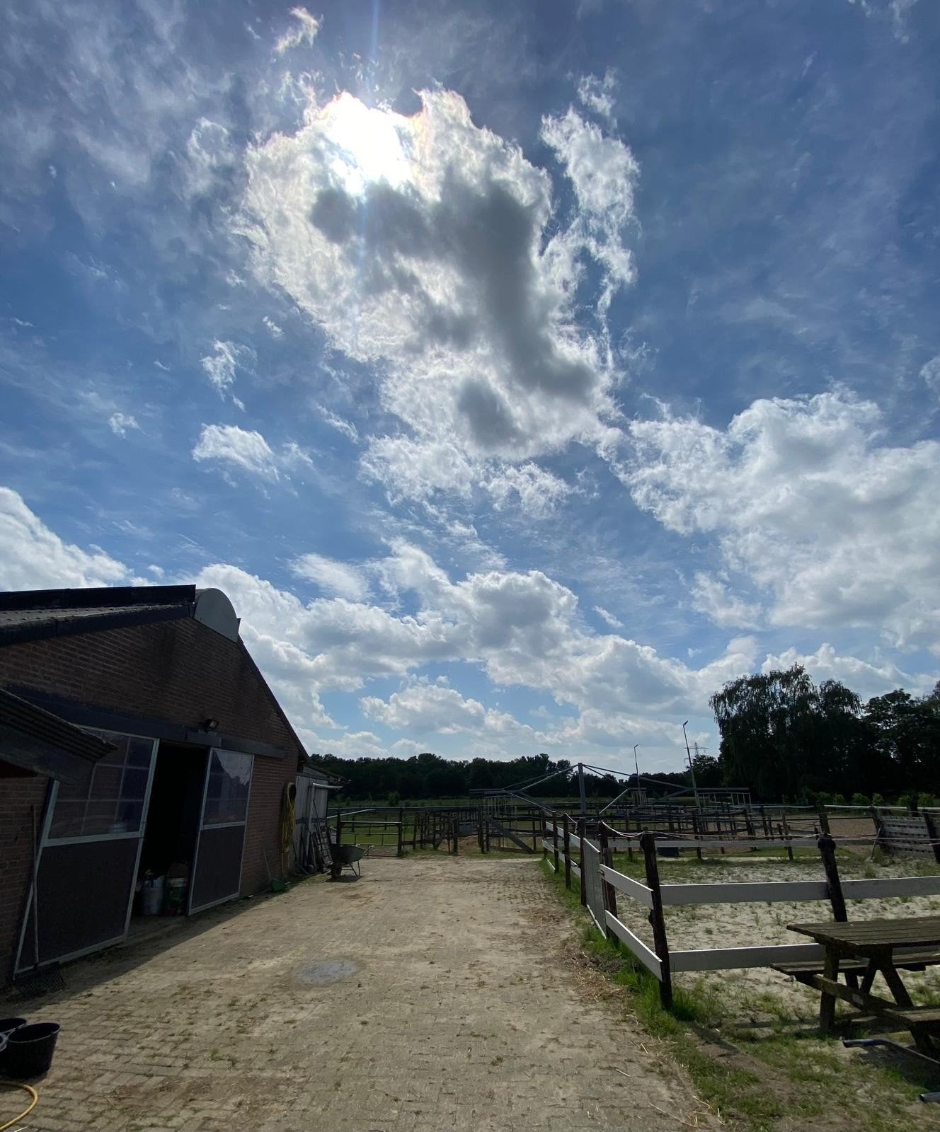 Wij bieden stalling voor  ponys bosrijke omgeving, Stalling