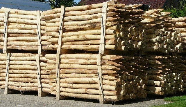 robinia palen, robinia, spintvrij geschuurde palen, hekwerk, Ophalen of Verzenden, Nieuw, 250 cm of meer, Palen