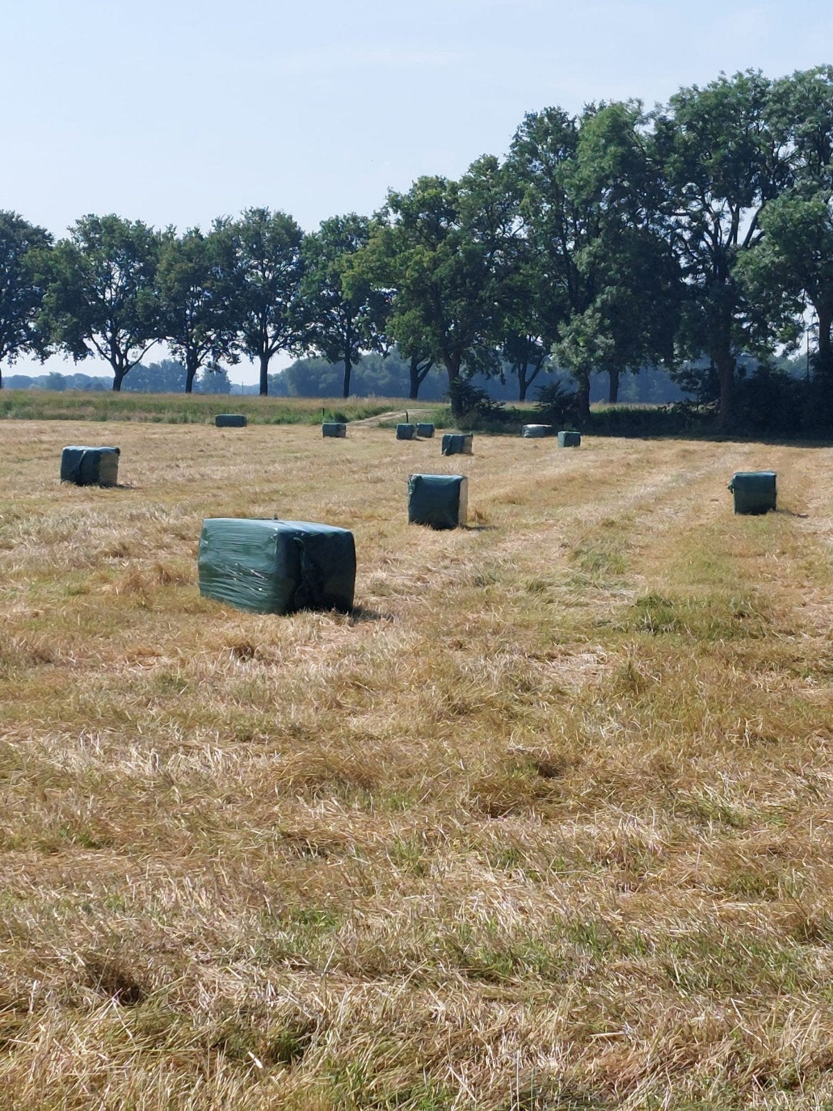 Hooi te koop aangeboden, Dieren en Toebehoren, Stalling en Weidegang