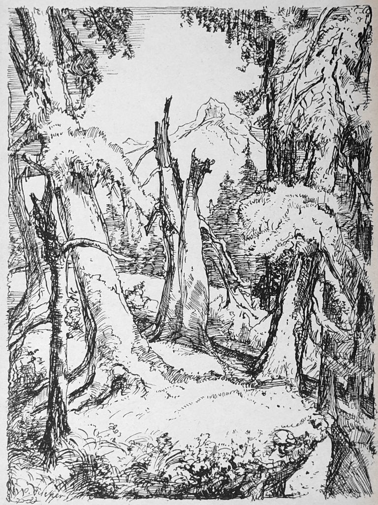Mooie, betaalbare kunst v/h Grafiekkabinet Otto Fischer, Verzenden
