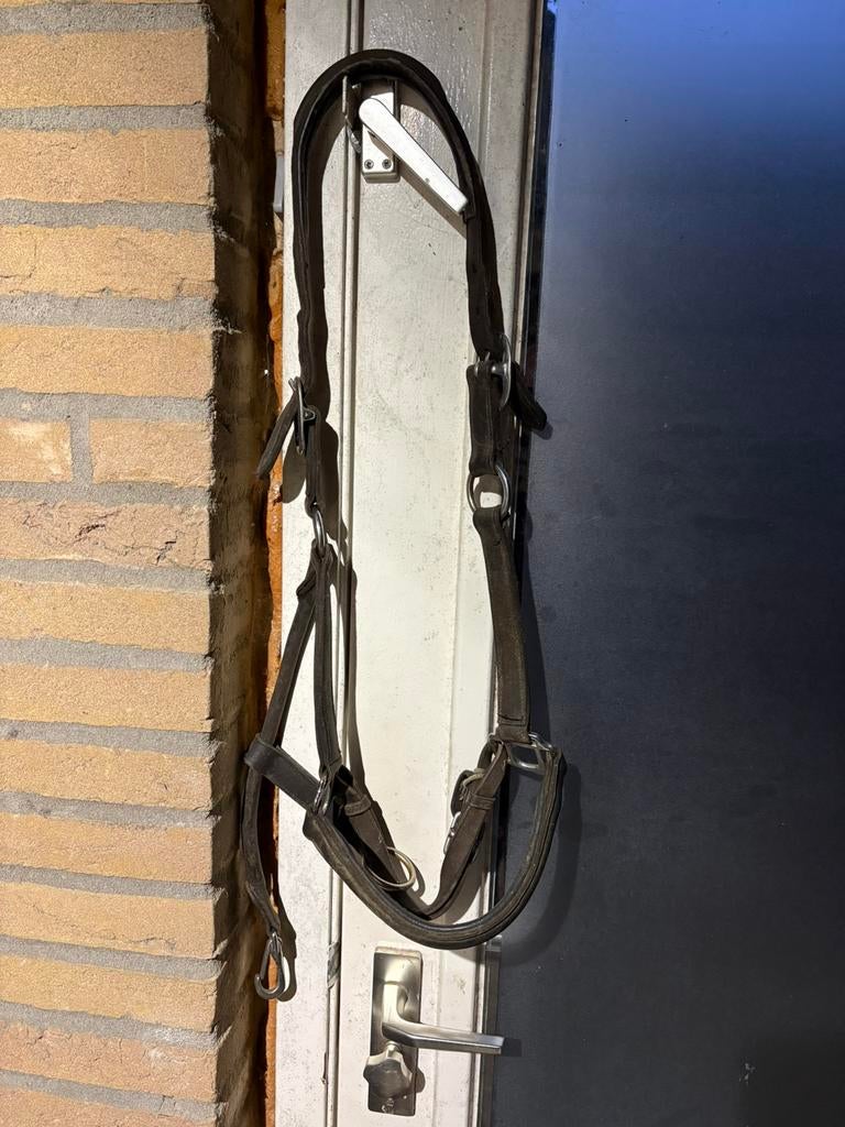 Leren halster maat Full, Dieren en Toebehoren, Ophalen of Verzenden, Gebruikt
