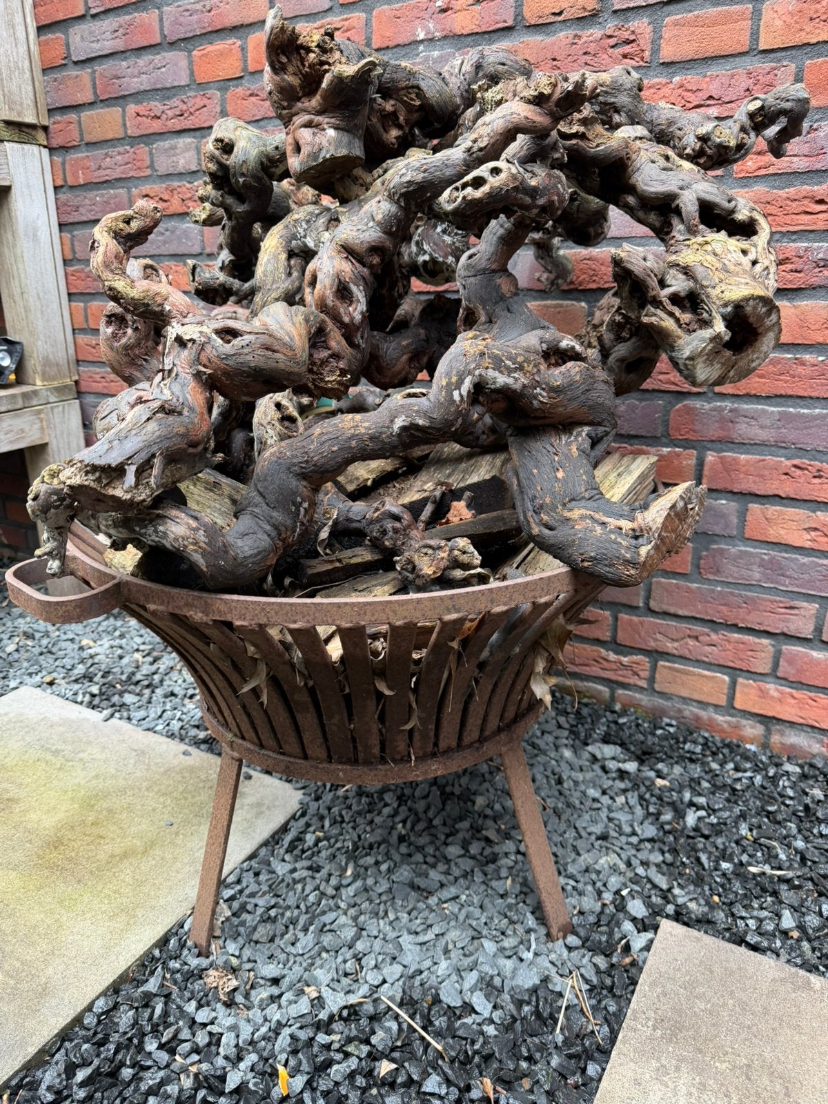 Druivenstronken, Ophalen, Gebruikt, Wanddecoratie