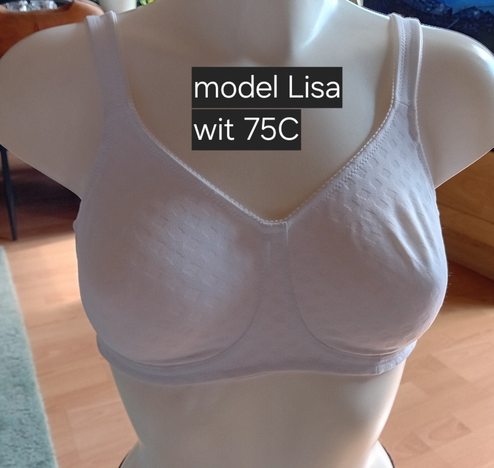 Nieuwe Anita Care BH, model "Lisa", in maat 75C., Anita, Ophalen of Verzenden, Wit, BH