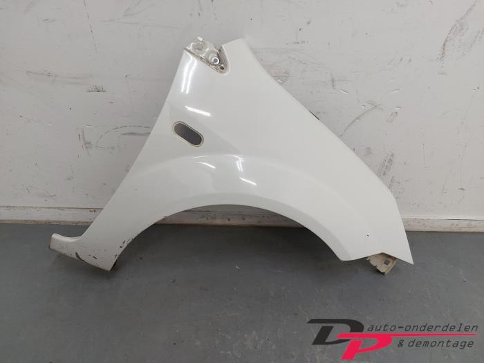 Scherm rechts-voor van een Ford Fiesta (B2)