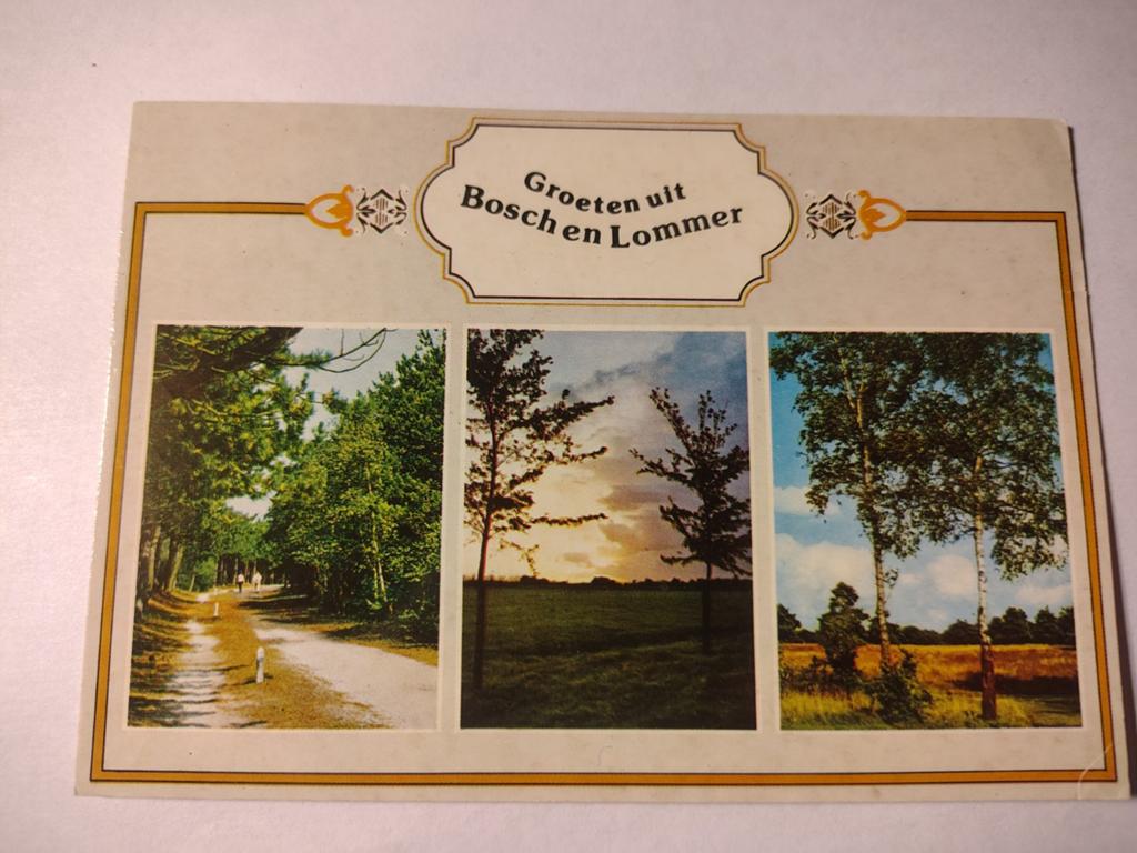 Hierden, Ophalen of Verzenden, 1940 tot 1960, Gelderland