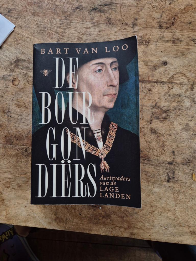 Bart van Loo - De Bourgondiërs, Boeken, Ophalen of Verzenden, Zo goed als nieuw, Bart van Loo