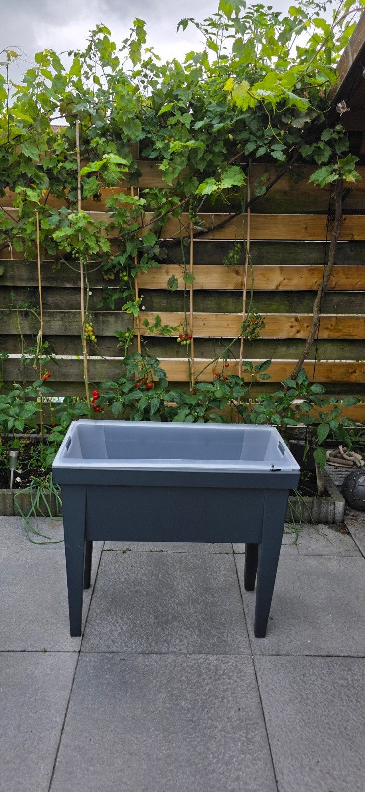 Tuinbak / plantenbak te koop, Tuin en Terras, Kweekspullen, Ophalen, Gebruikt, Kweekbak