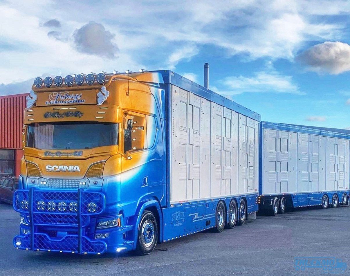 Tekno Friberg Scania Next Gen S-Serie Highline livestock, Ophalen of Verzenden, Nieuw, Bus of Vrachtwagen, Tekno