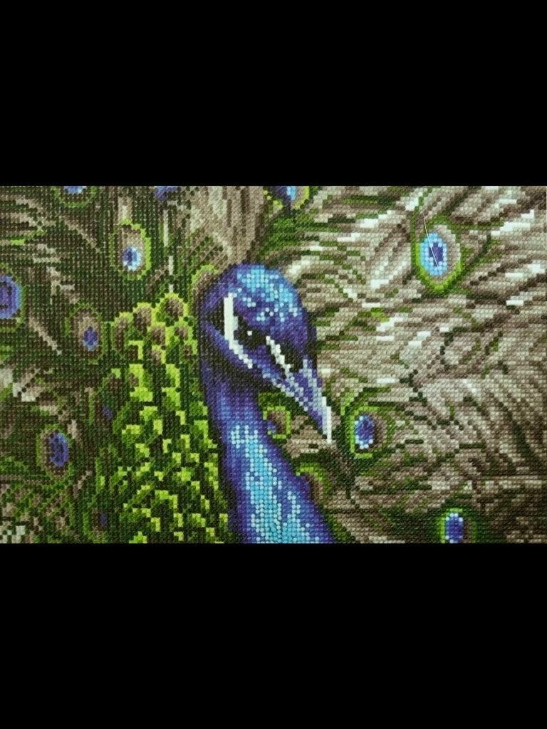 Nieuwe diamond painting pauw 45x30cm hobby creatief vakantie, Ophalen of Verzenden, Nieuw, Diamond painting
