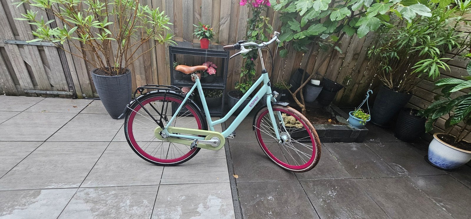 gazelle esprit damesfiets, Ophalen, Gebruikt, 25 tot 50 cm, Minder dan 100 cm