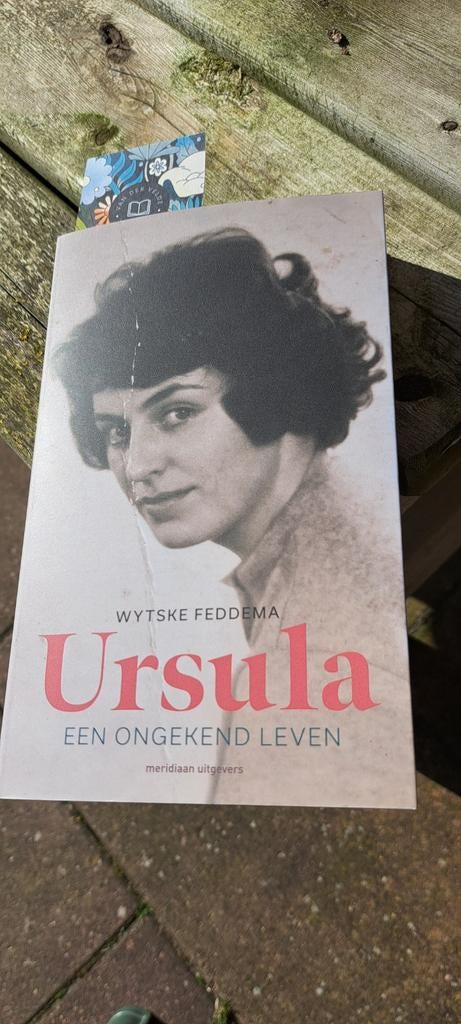 Wytske Feddema - Ursula, Boeken, Literatuur, Zo goed als nieuw, Ophalen of Verzenden