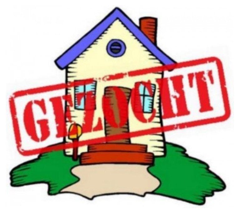 I am looking for an apartment or a studio in  Nijmegen area.