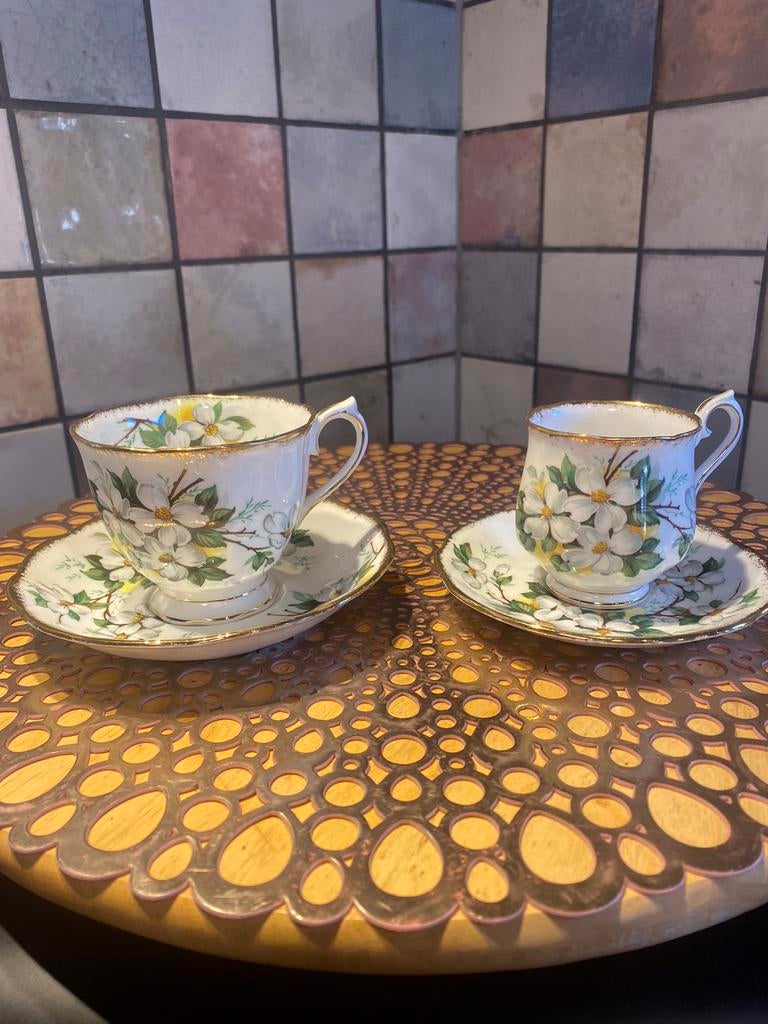 Royal Albert,White Dogwood,bone China,2 kop en schotel, Ophalen of Verzenden