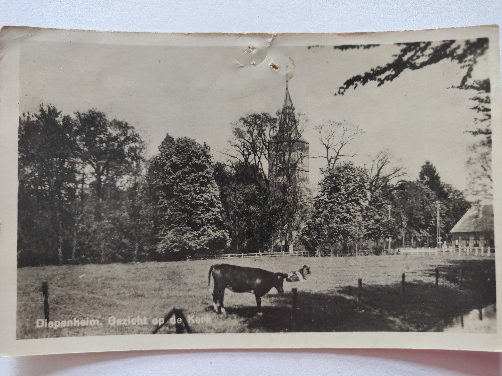 c1591 diepenheim, Ophalen of Verzenden, 1920 tot 1940