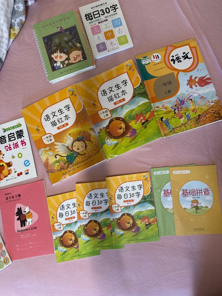 Chinese taalboeken en oefenmateriaal voor kinderen, Ophalen of Verzenden, Gebruikt, Overige typen