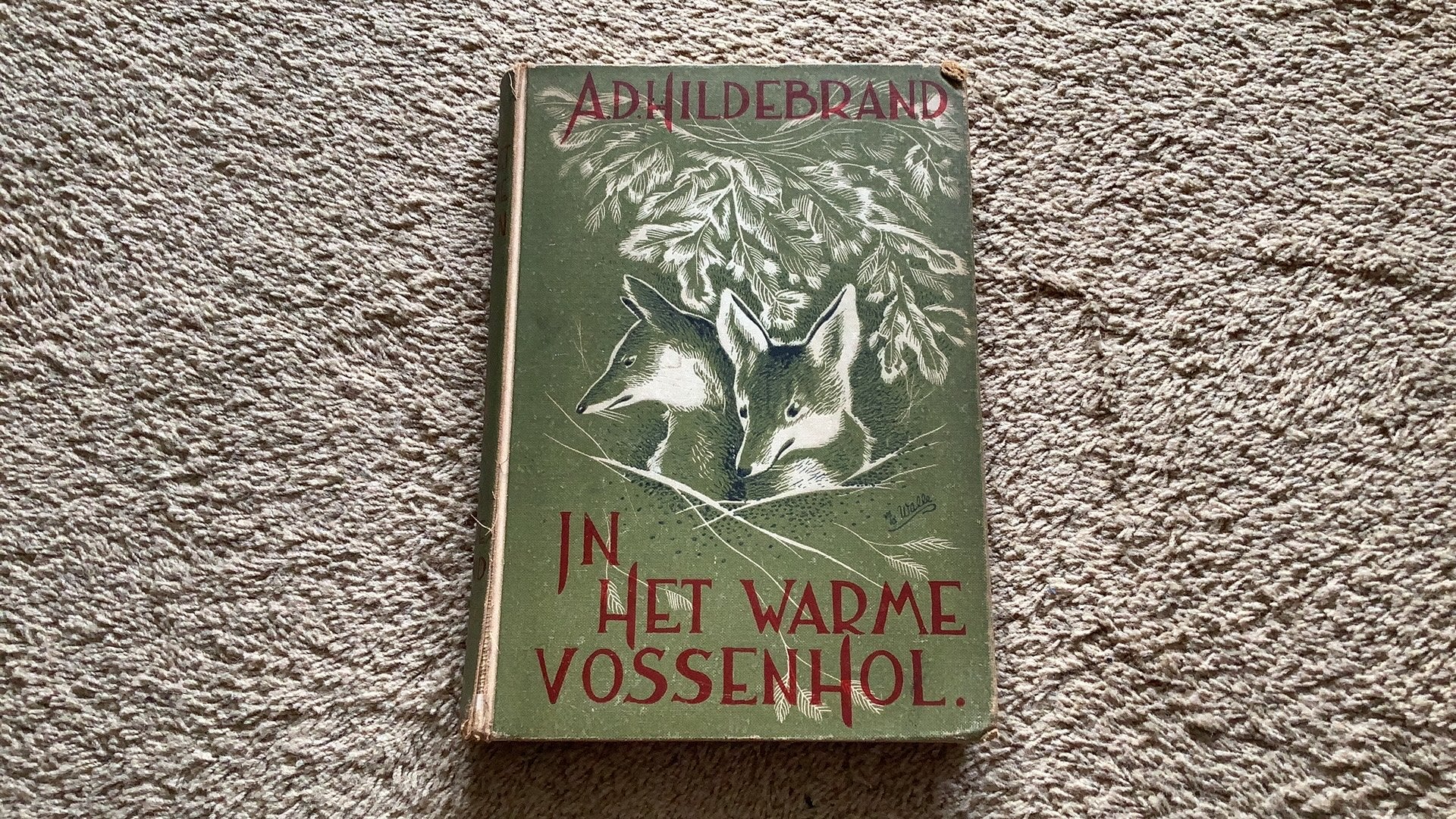 A.D. Hildebrand, In het warme vossenhol. Valko Vos deel 3., Ophalen of Verzenden
