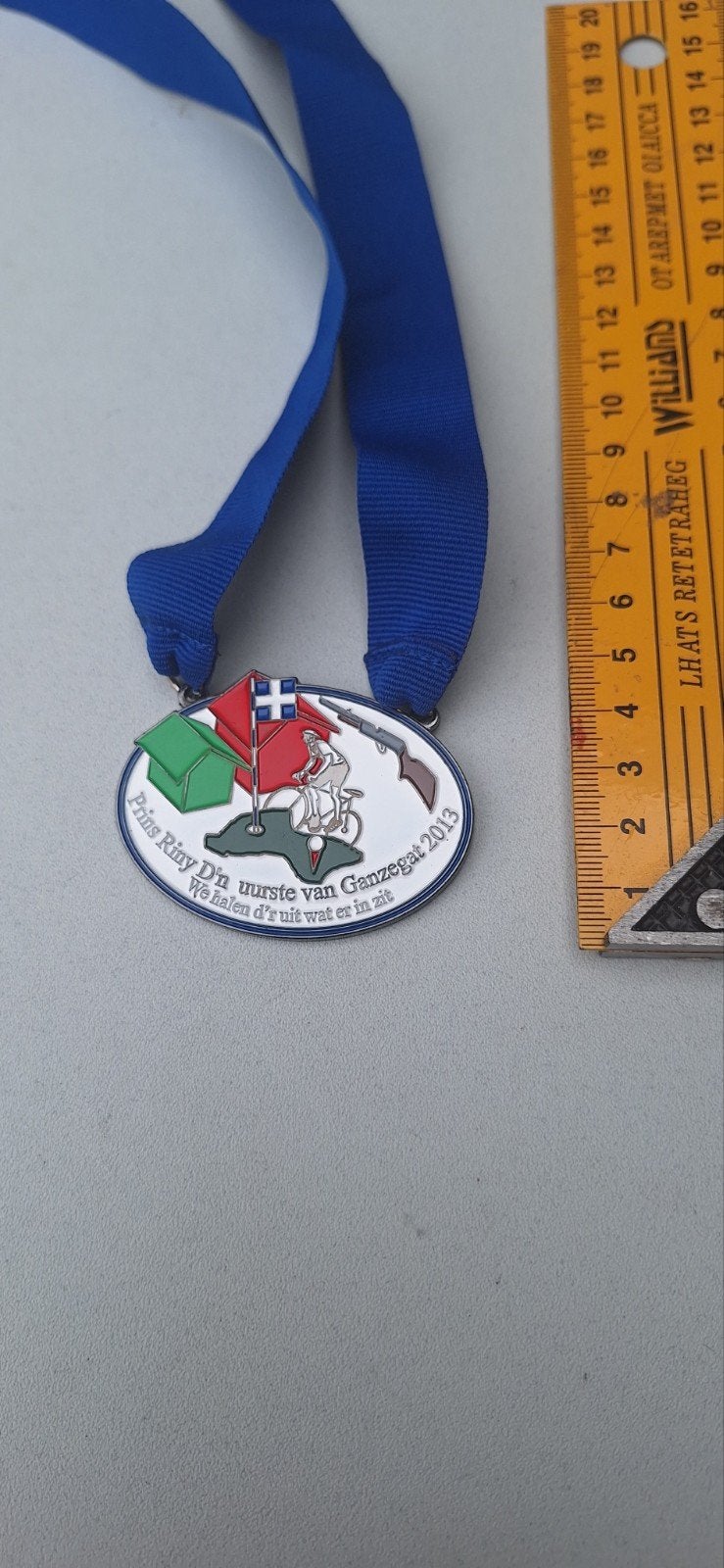 Carnavals medaille Ganzegat Aarle-Rixtel 2013 (11525), Ophalen of Verzenden, Overige materialen