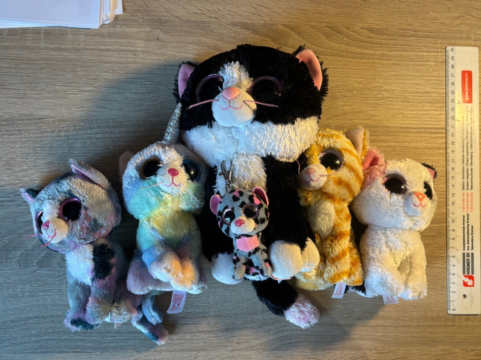Beanie boo/ty katjes, Ophalen of Verzenden, Zo goed als nieuw, Kat, Ty