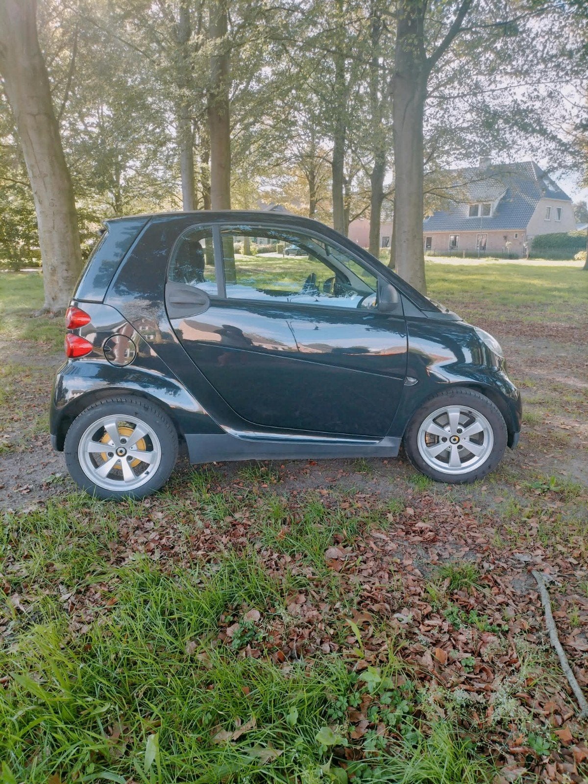 Smart smart Fortwo