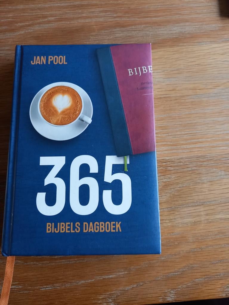 Jan Pool - 365, Boeken, Jan Pool, Christendom | Katholiek, Ophalen of Verzenden, Zo goed als nieuw