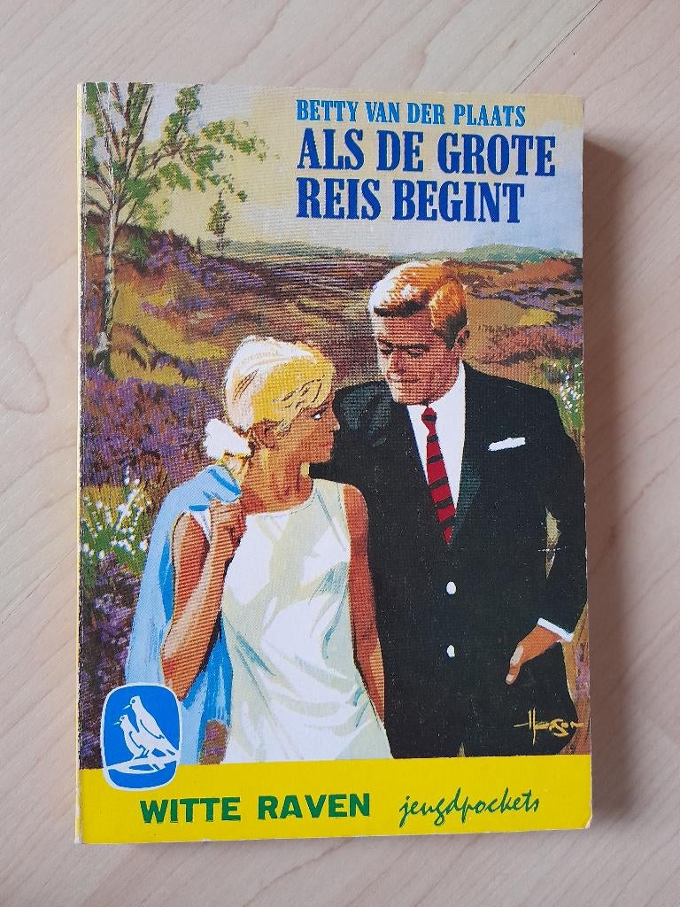 ALS DE GROTE REIS BEGINT Betty van de Plaats, Boeken, Romans, Ophalen of Verzenden, Gelezen