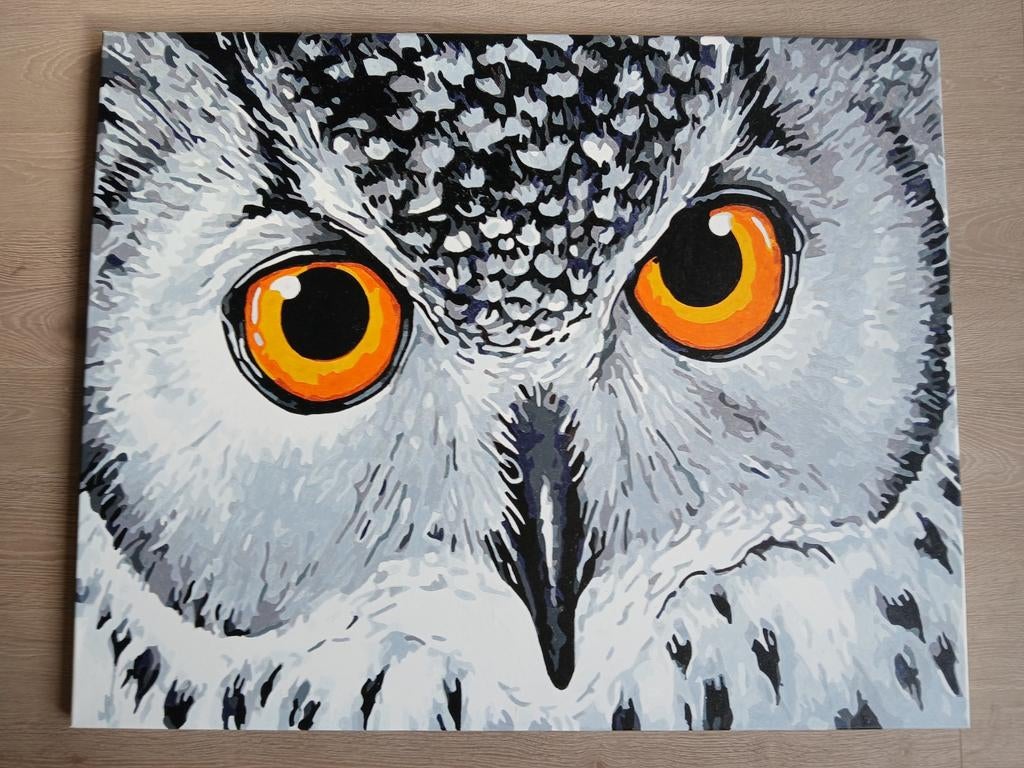 Schilderij van een uil 100 x 80 cm, Antiek en Kunst, Kunst | Schilderijen | Abstract, Ophalen