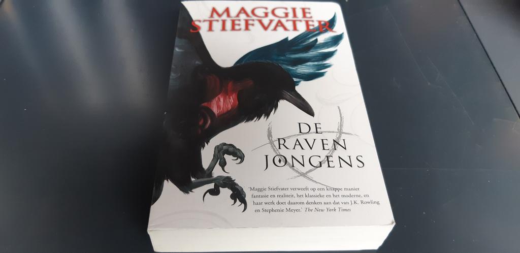 Maggie Stiefvater - De Raven Jongens, Boeken, Ophalen of Verzenden, Zo goed als nieuw, Maggie Stiefvater