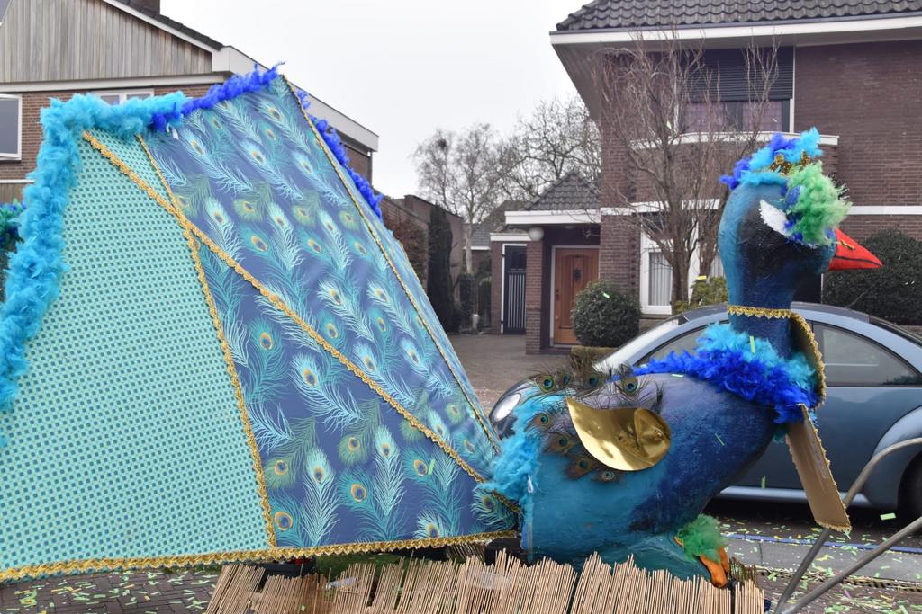 Loopgroep carnaval 6 personen, Hobby en Vrije tijd, Feestartikelen, Ophalen, Zo goed als nieuw, Carnaval