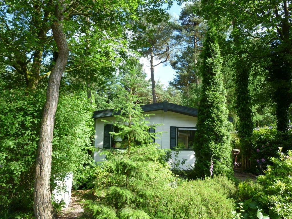 Heerlijk vakantiehuis Diever aan de bosrand!, In bos, 2 slaapkamers, Wasmachine, Drenthe